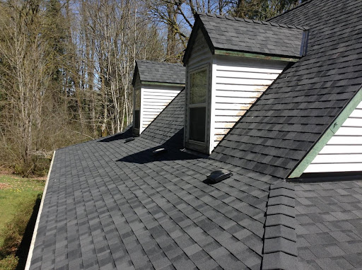 Fiberglass roofing asphalt roof revive restore repair
