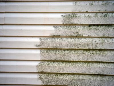 Signs Your Everett-Area Home Needs Siding Replacement